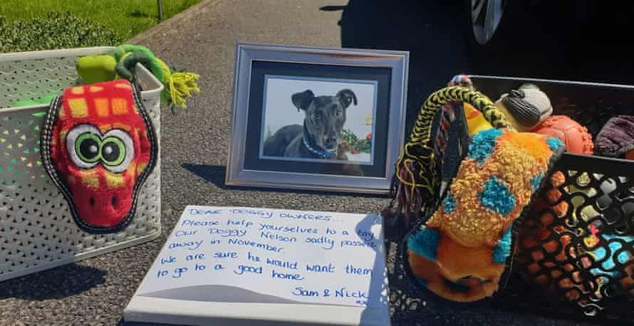 Nicholas Cook’s dog toy giveaway in memory of Nelson the lurcher.