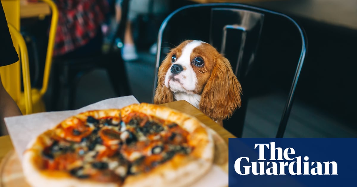 How to eat now: 16 rules of modern dining – from dress codes to dogs