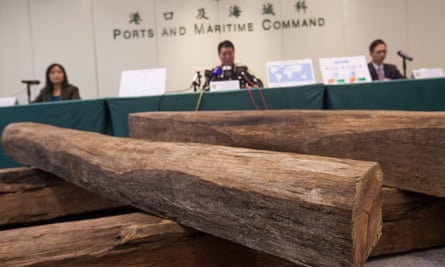 Hong Kong customs officials with confiscated Honduras rosewood log