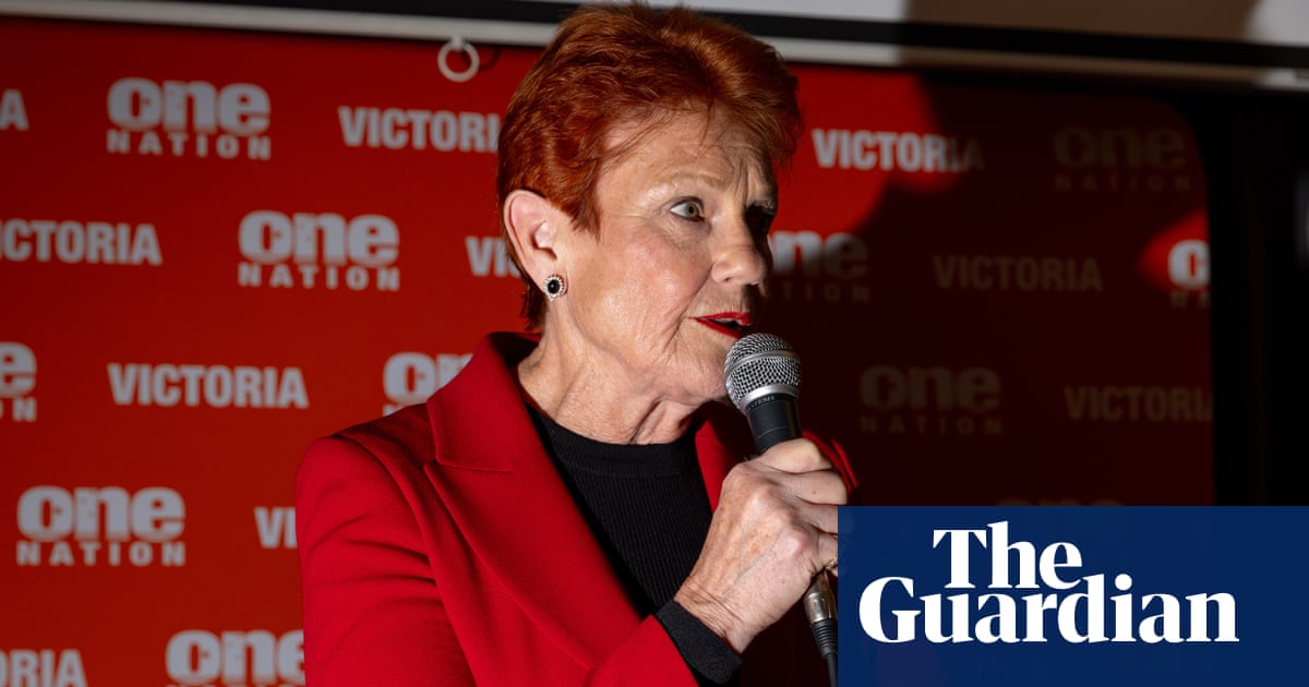 ‘Orange elephant in the room’: Pauline Hanson’s political rise is inspiring racism, inquiry hears
