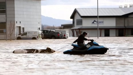 Residents use jetskis to rescue their cows from flooding in British Columbia – video 