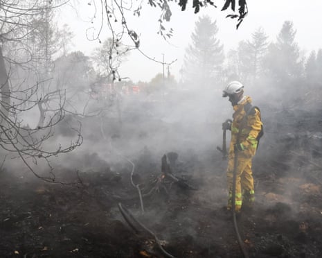A Belgian firefighter stands among charred tree stumps in a forested area affected by a wildfire in Waimes, Belgium.