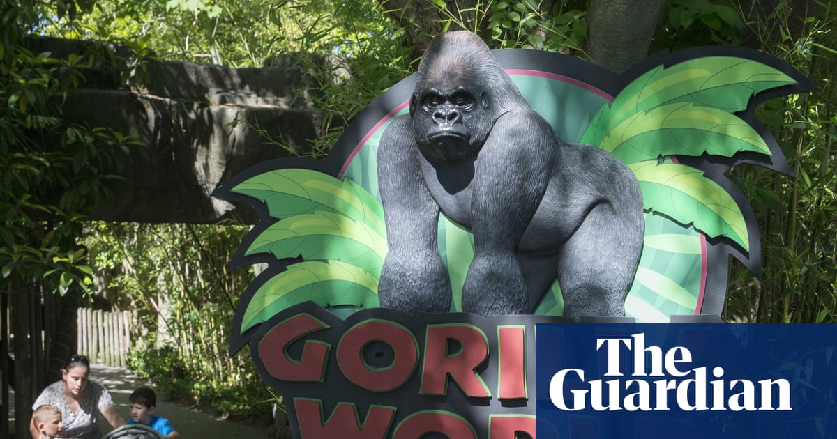 ‘True patriot’: White House pays bizarre tribute to Harambe 10 years after gorilla’s death