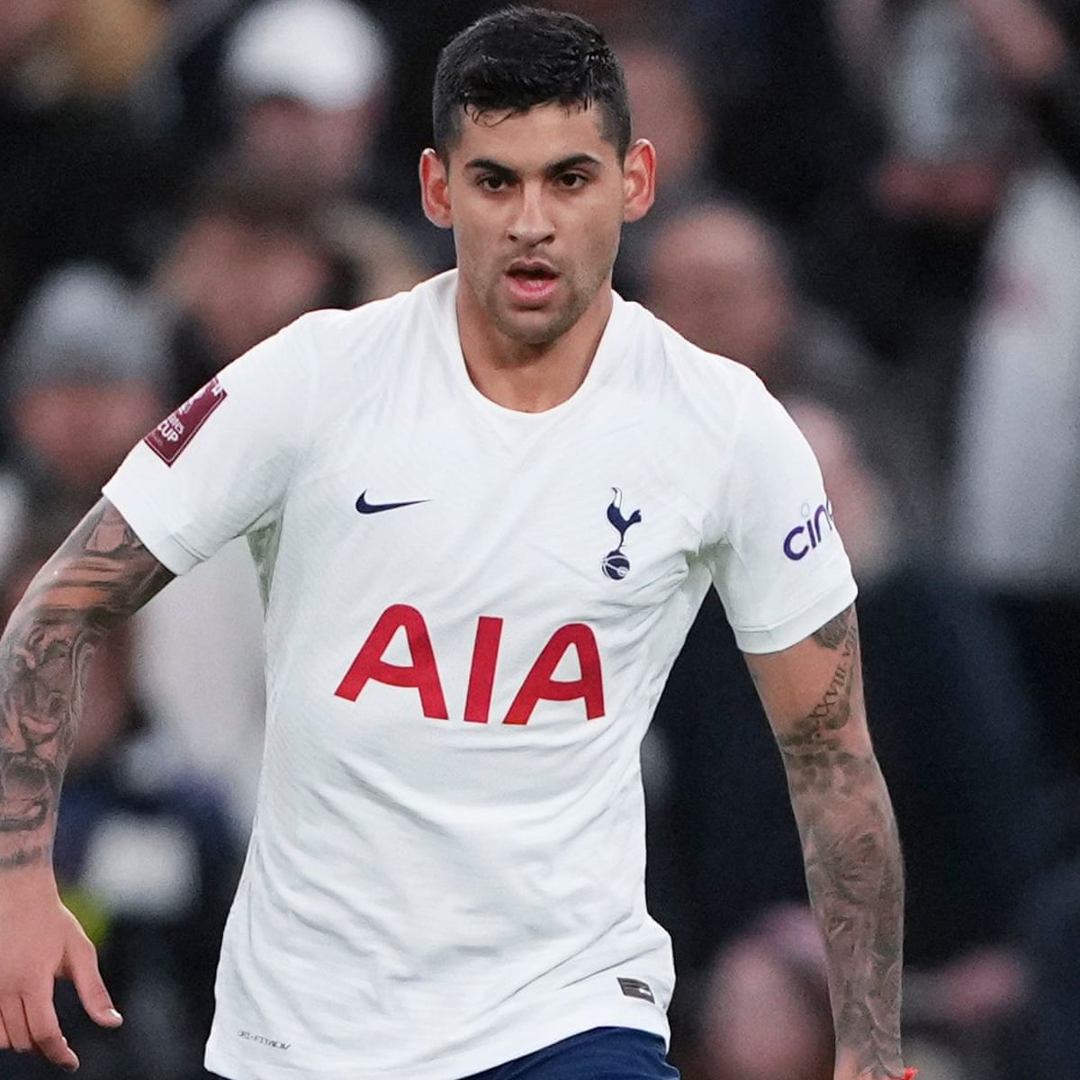 Alexis Mac Allister finds one word to describe Tottenham's Cristian ...