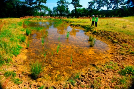 Photo issued by the Freshwater Habitats Trust of a new clean water pond created by Freshwater Habitats Trust on farmland near Oxford, which now supports Great Crested Newts as digging ponds in the countryside can deliver “unprecedented” gains for nature, experts said after a study showed they significantly boosted rare plants.
