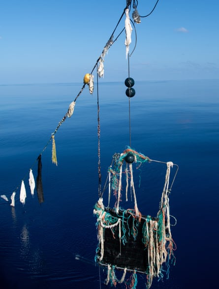 Deal to curb harmful fishing devices a 'huge win' for yellowfin