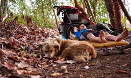 The pair snooze on a forest path in Panama.
