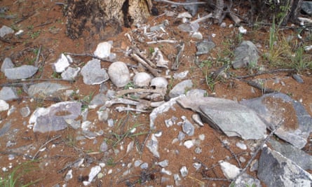 Human bones litter the ground outside a recently looted burial in Khuvsgul province.