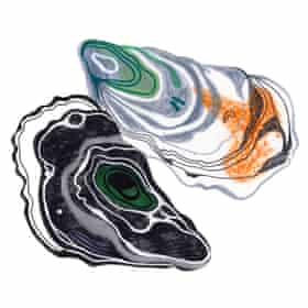 Oysters illustration