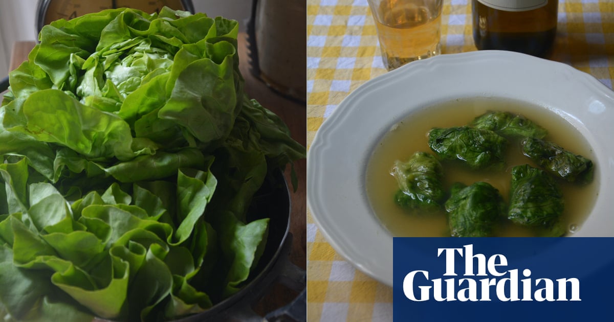Rachel Roddy’s recipe for stuffed lettuce in broth - The Guardian