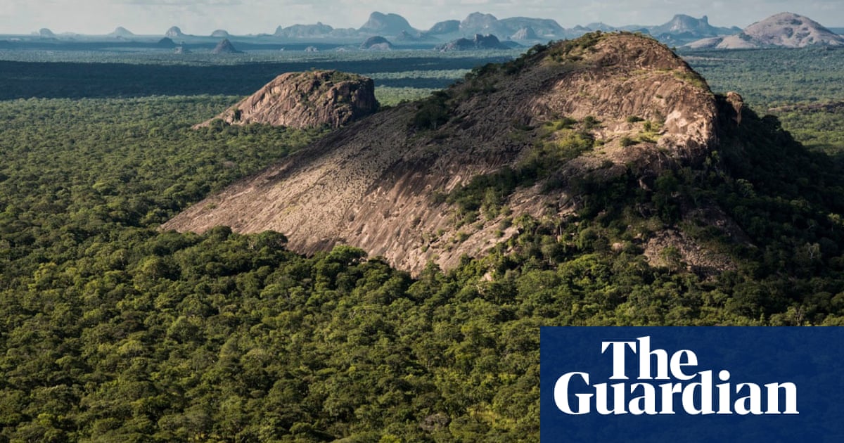 Ten dead in brutal' attacks by Isis-linked militants on Mozambique wildlife reserve