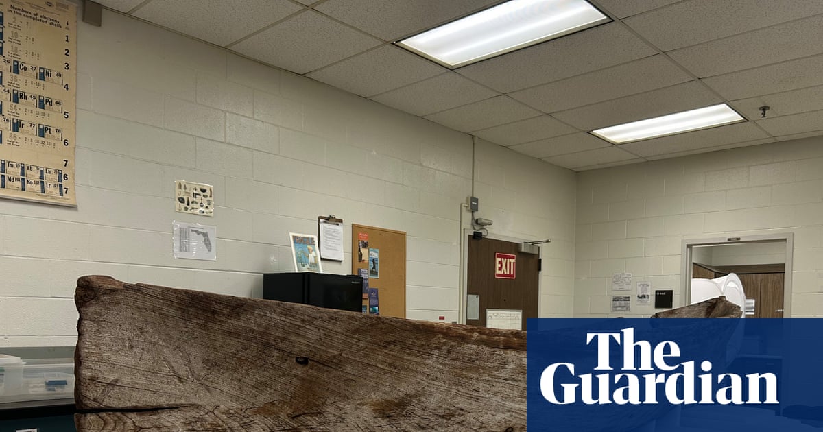 ‘It’s incredibly exciting’: ancient canoe unearthed after Hurricane Ian stormed through Florida