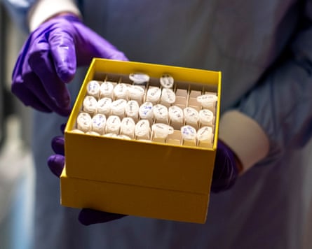 Samples arranged by rows in a small box