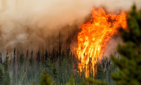 huge oranges flames leap into the air from a Canadian wildfire
