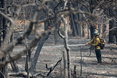 A firefighter uses a hose to extinguish hot spots among a landscape of scorched trees and ash.