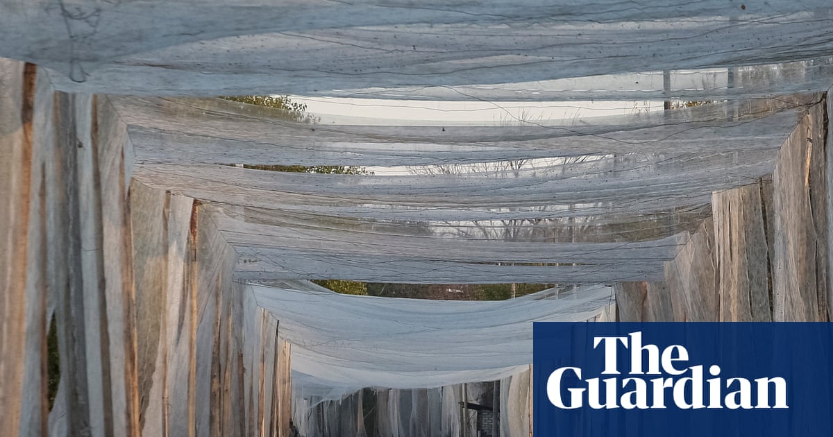 Old fishing nets from France become vital protection against Russian drones in Ukraine