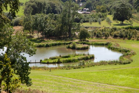 A landscaped lake in the Newt’s grounds.