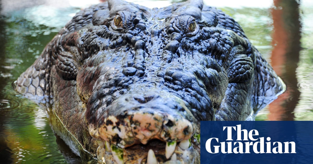 Rio's record, giant dogs and a psychic crocodile take the Thursday quiz