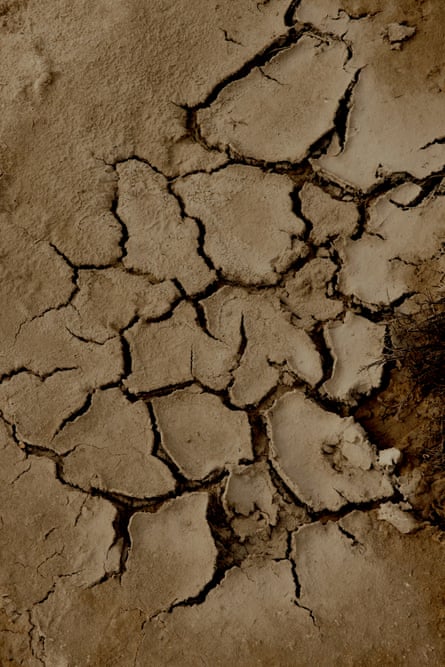 Cracks on the muddy bottom of the lagoon