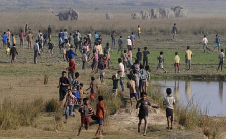 Villagers watch as a herd of wild elephants walks towards them