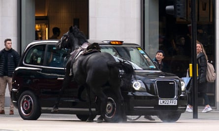 A black horse runs into a taxi while shocked pedestrians look on