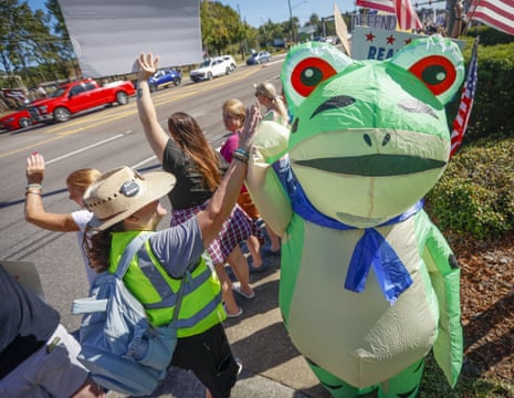 Teresa Clark, 51, of Palm Harbor wears a frog costume while protesting along Gulf to Bay Boulevard in Clearwater, Florida..