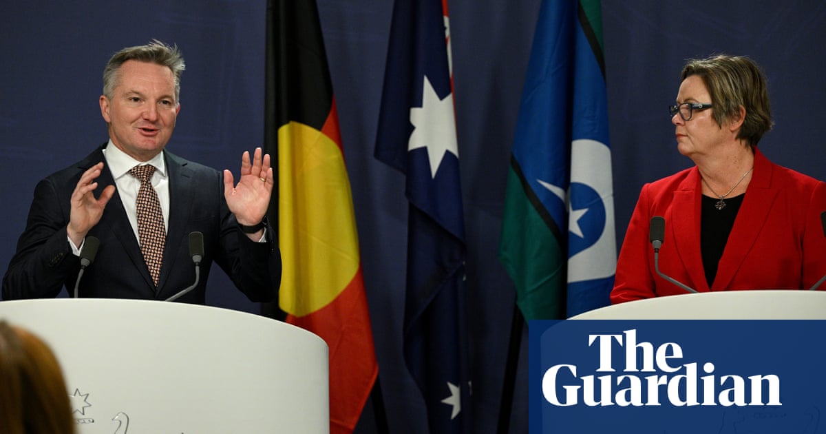 Labor wants review of Australia’s gas supply trigger ‘within weeks’ to avoid future shortage