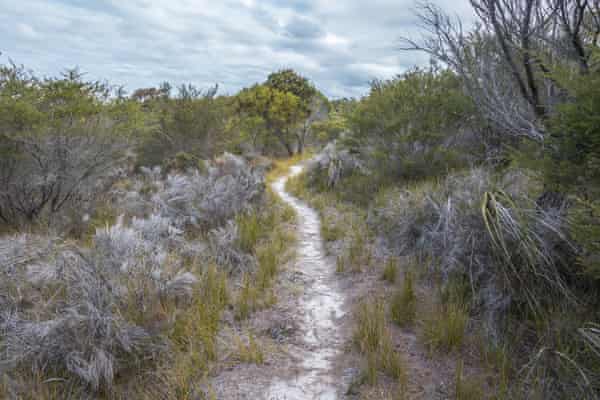 Whale Trail The Magnificent Remoteness Of The Light To Light Walk