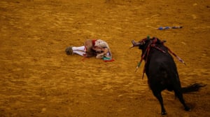 A member of Coruche forcados group lies on the ground after he was thrown by a bull at the Campo Pequeno bullring in Lisbon