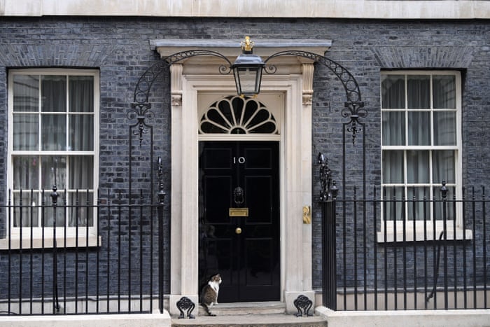 Larry the Downing Street cat outside No 10