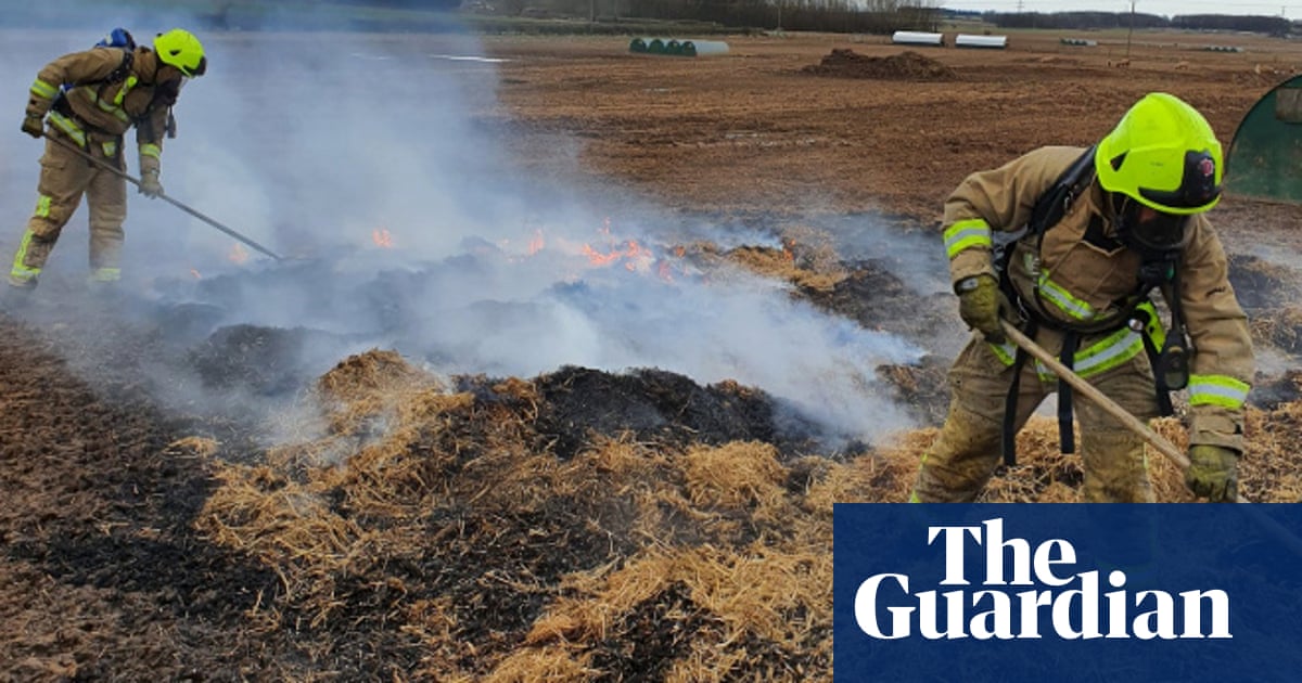 Best of Family sex on the farm sex the farm on Family