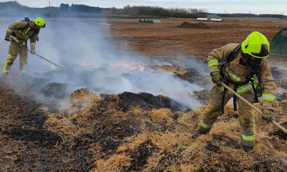 Firefighters in Yorkshire tackle a blaze that broke out after a pig excreted a pedometer in its pen. 