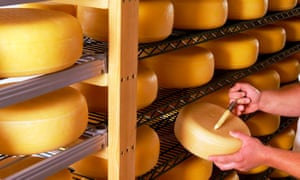 cheese