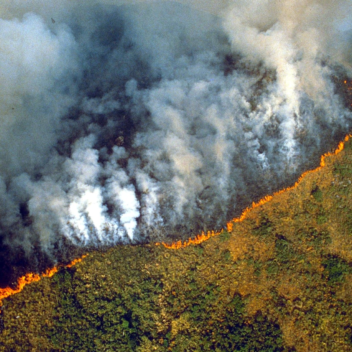 The Five Areas Of Deforestation Deforestation The Guardian The Five Areas Of Deforestation Deforestation The Guardian