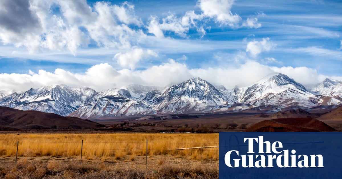 Don T Skip Out On Me By Willy Vlautin Review A Meditation On