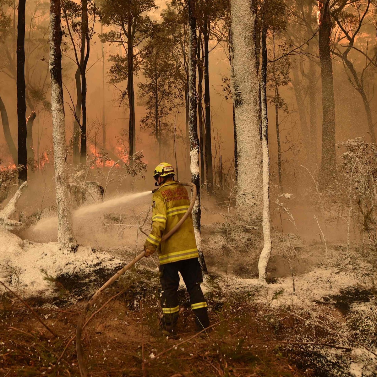 Bushfires What S Happening In Australia Right Now And Why Are There So Many Australian Fires Fun Kids The Uk S Children S Radio Station