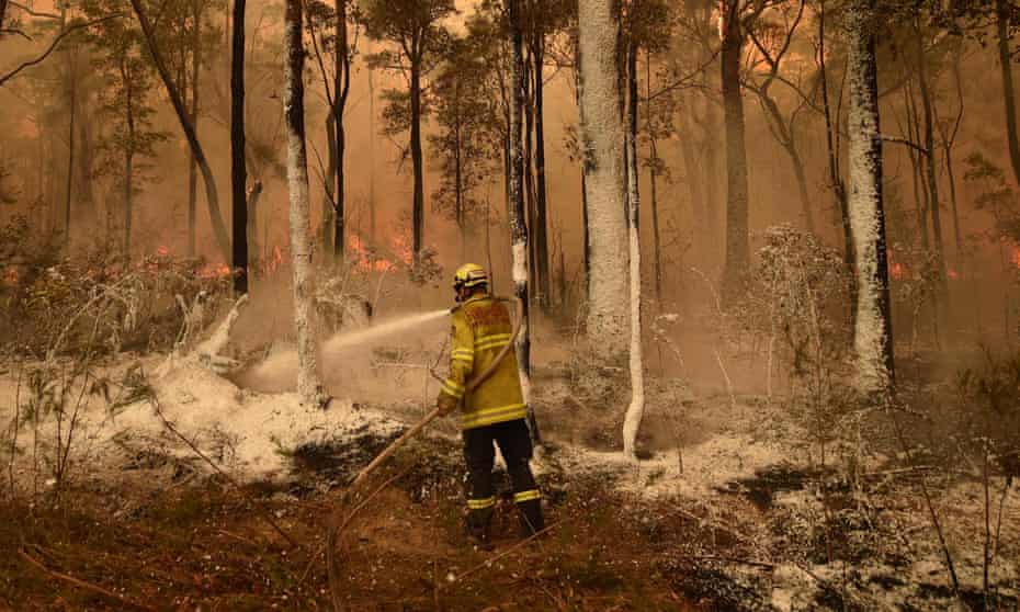 Explainer How Effective Is Bushfire Hazard Reduction On Australia S Fires Bushfires The Guardian Explainer How Effective Is Bushfire Hazard Reduction On Australia S Fires Bushfires The Guardian