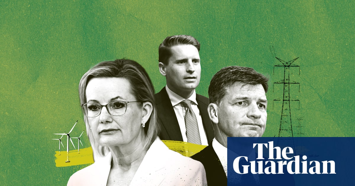 The 48 hours that killed the Liberal party’s net zero promise