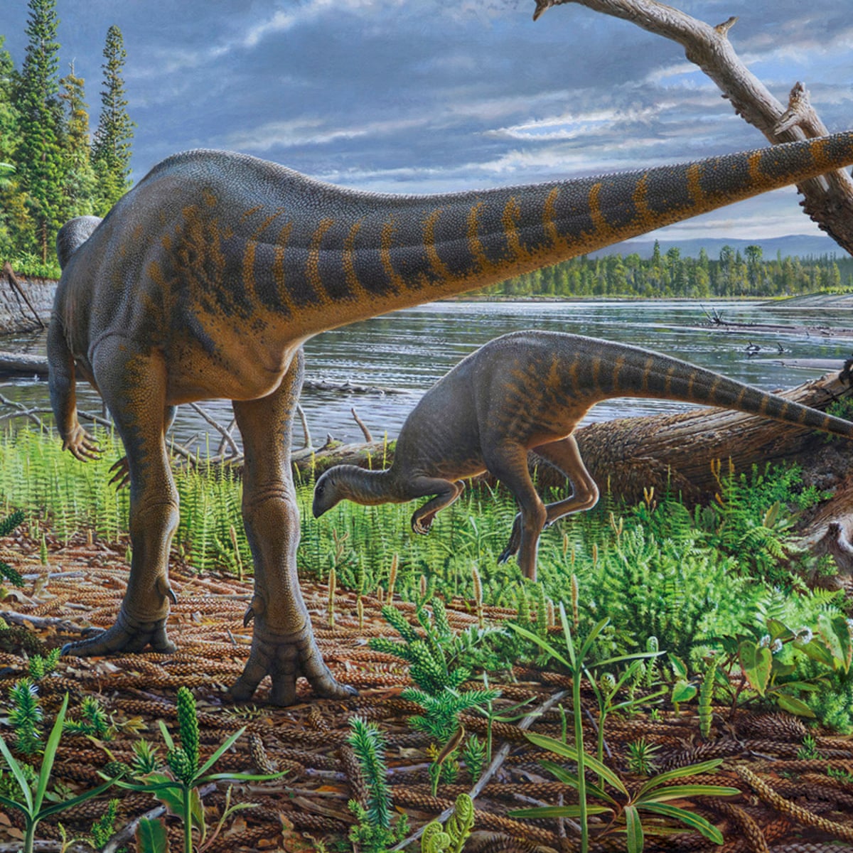Tiny Dinosaur That Roamed Lost World Between Australia And Antarctica Identified Dinosaurs The Guardian Tiny Dinosaur That Roamed Lost World Between Australia And Antarctica Identified Dinosaurs The Guardian