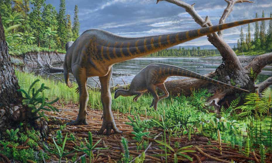 Artist’s impression of Diluvicursor Pickeringi dinosaur, which ran on strong hind legs and weighed 3 or 4 kilos.