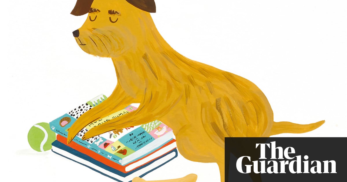 How To Look After Your Human By A Dog In Pictures