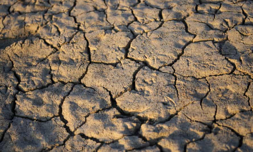 Parched land under a bridge on the Po riverbed in Boretto.