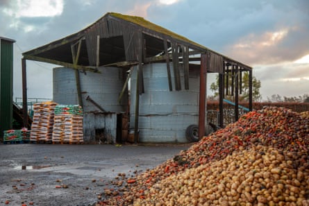 Montes de cenouras e batatas descartadas que não atendem aos critérios para vegetais de supermercado em uma fazenda no Reino Unido.
