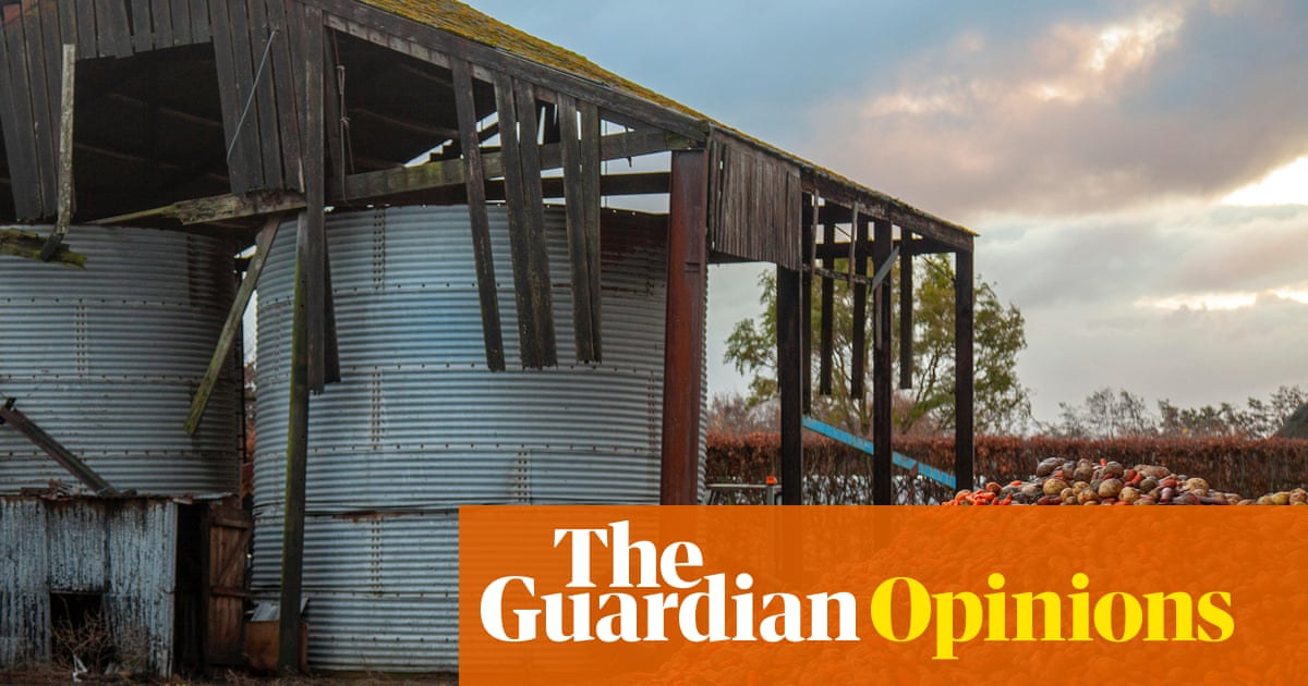 While British children go hungry, we waste 1.1bn meals a year. Bring on the redistribution revolution | Charlotte Hill