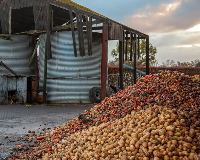The UK has a food waste problem and a food poverty problem – and we have a plan to fix them both | Charlotte Hill