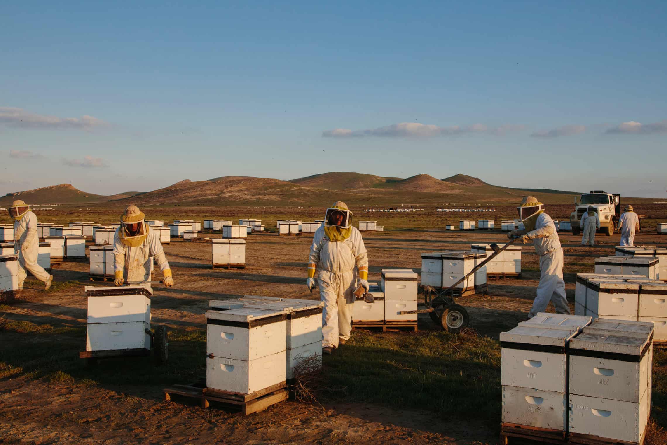 Beekeep