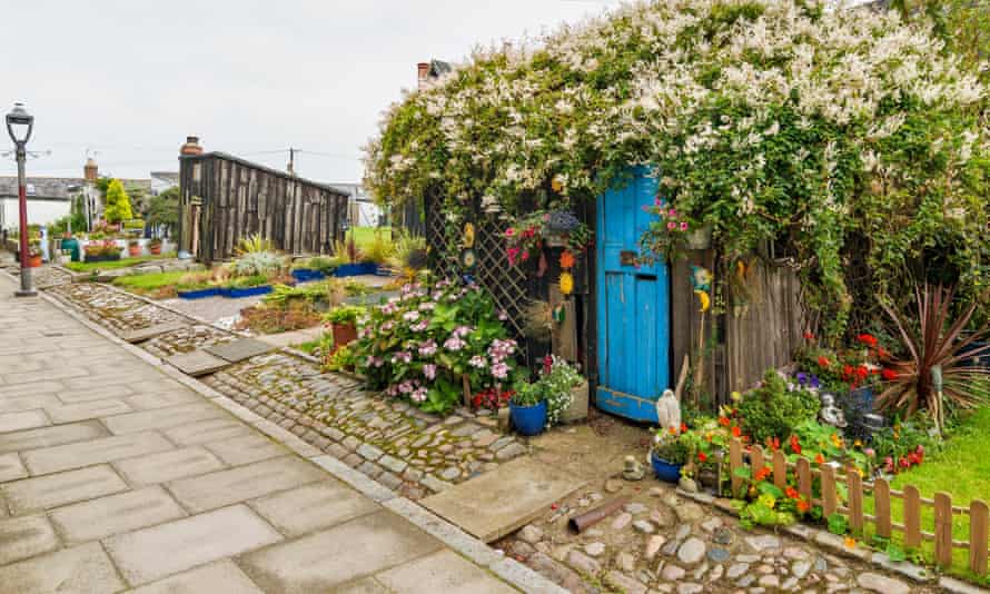 FOOTDEE OR FISHING VILLAGE IN ABERDEEN HARBOUR GARDEN AND SMALL TARRY SHED COVERED OVER BY A RUSSIAN VINE