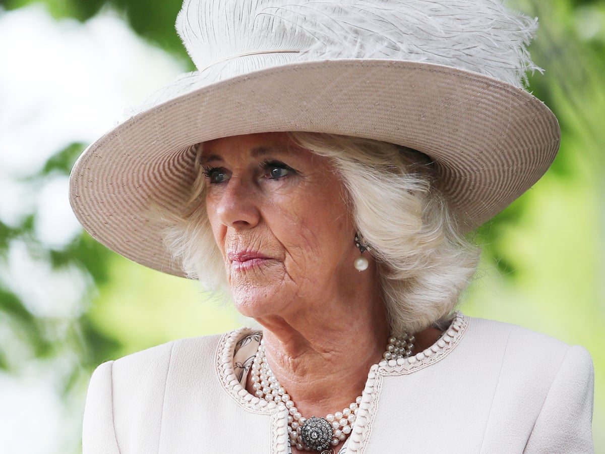 Reach In To Help Victims Of Domestic Violence Urges Duchess Of Cornwall Domestic Violence The Guardian Reach In To Help Victims Of Domestic Violence Urges Duchess Of Cornwall Domestic Violence The Guardian