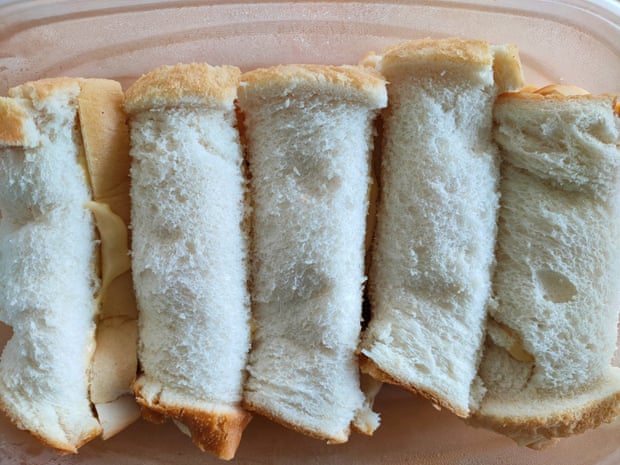 Homemade cheese rolls