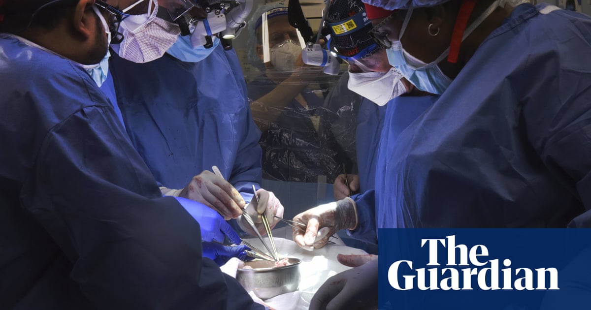 Maryland doctors transplant pig’s heart into human patient in medical first